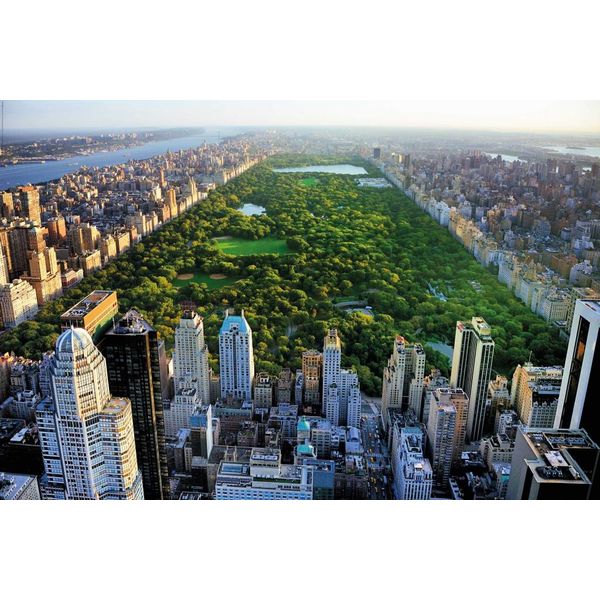 new-york-central-park-poster-915-x-61-cm